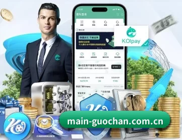 国产高清 APP 深度功能