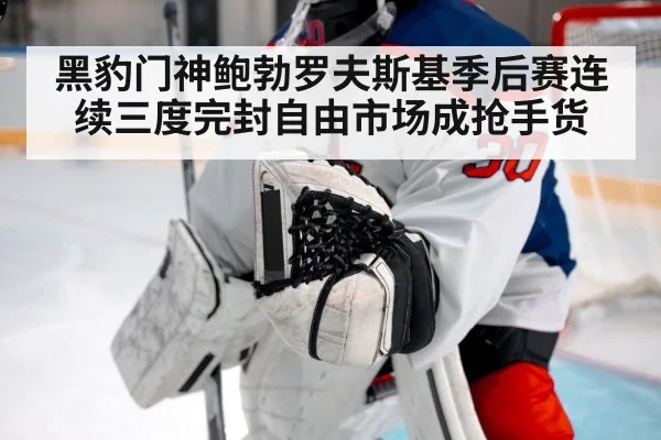 黑豹门神鲍勃罗夫斯基季后赛连续三度完封自由市场成抢手货