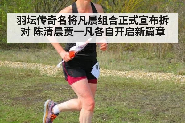 羽坛传奇名将凡晨组合正式宣布拆对 陈清晨贾一凡各自开启新篇章